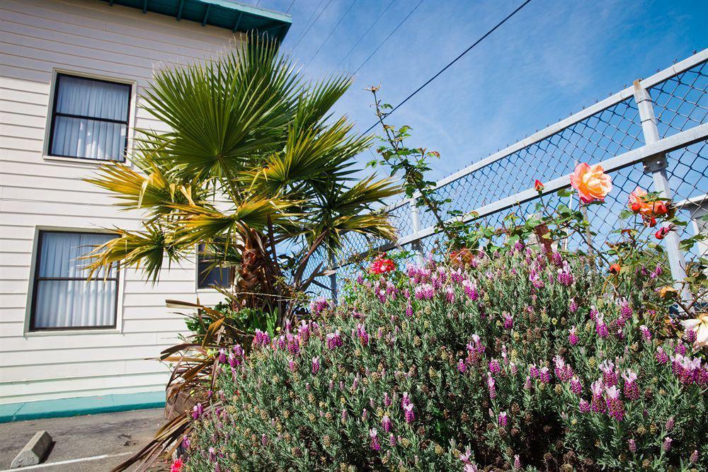 Mylo Hotel Daly City Eksteriør billede